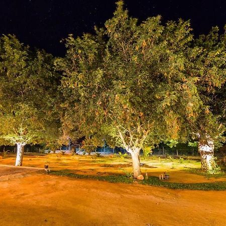 Forestville Yala Exteriér fotografie
