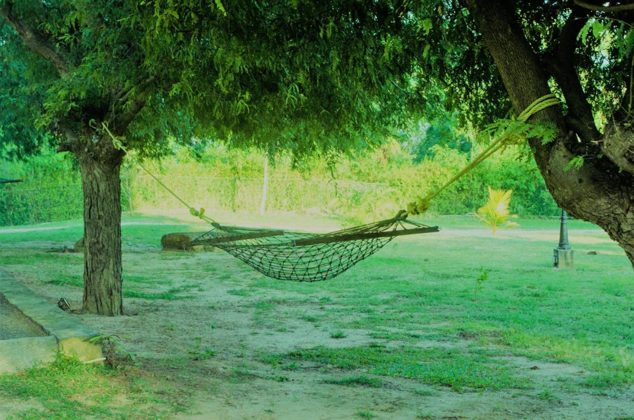Forestville Yala Exteriér fotografie