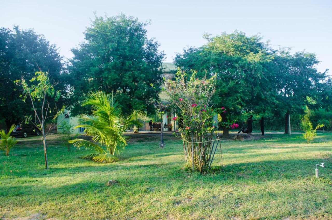 Forestville Yala Exteriér fotografie