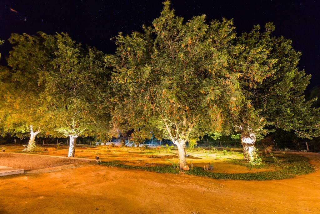 Forestville Yala Exteriér fotografie