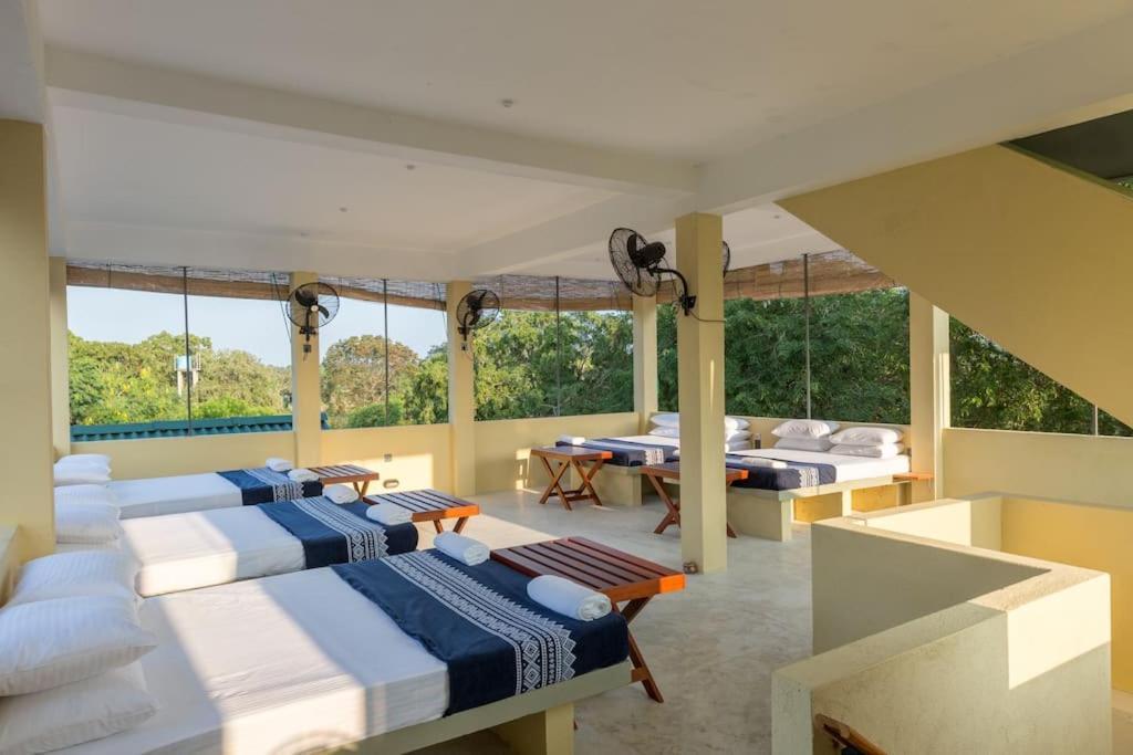 Forestville Yala Exteriér fotografie