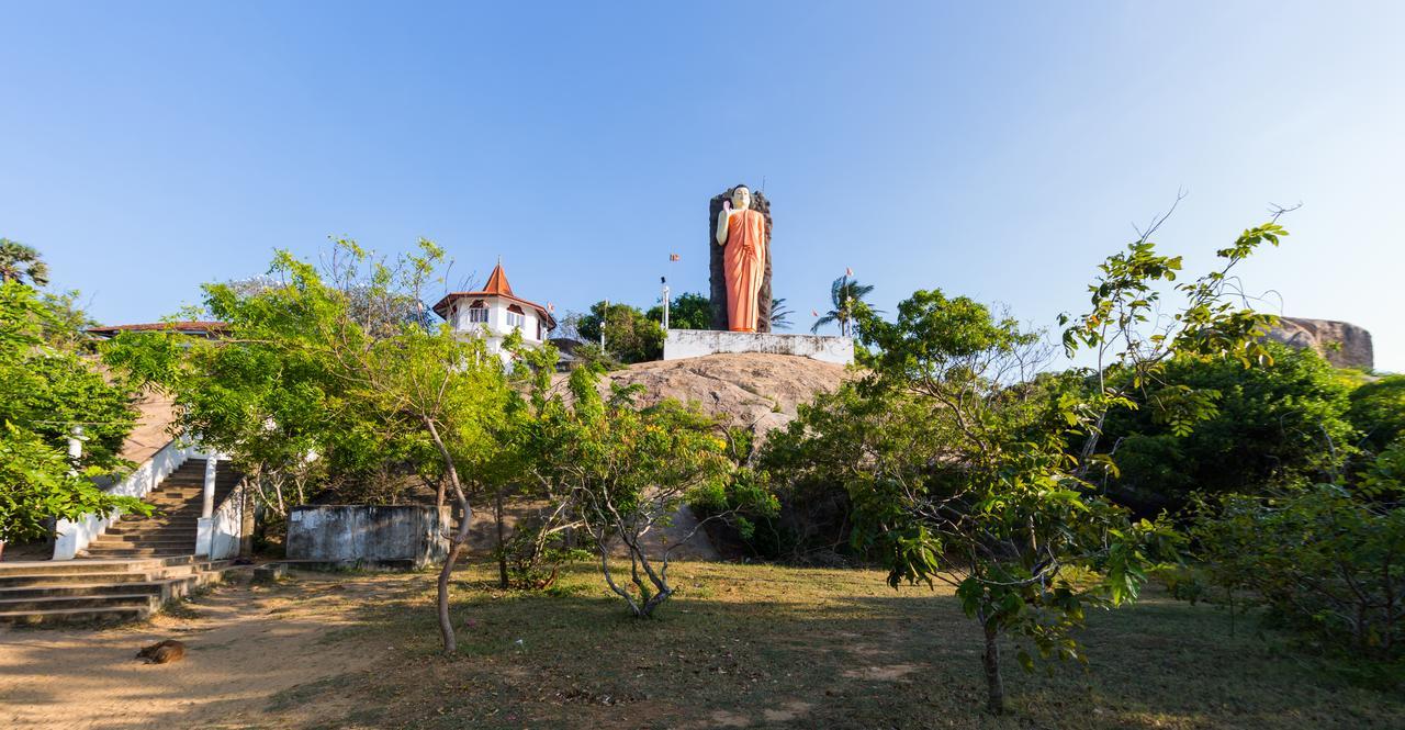 Forestville Yala Exteriér fotografie