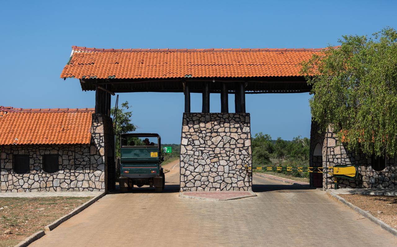 Forestville Yala Exteriér fotografie