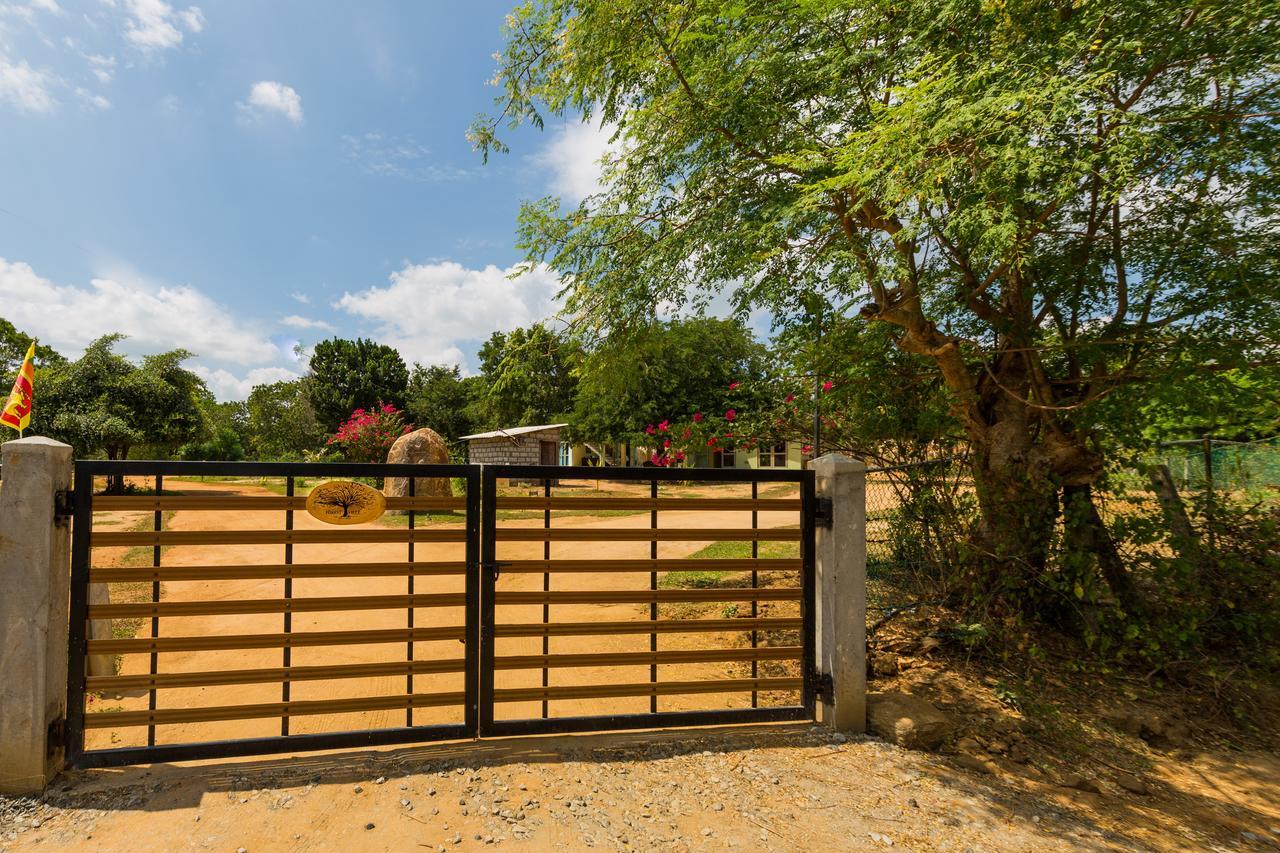 Forestville Yala Exteriér fotografie