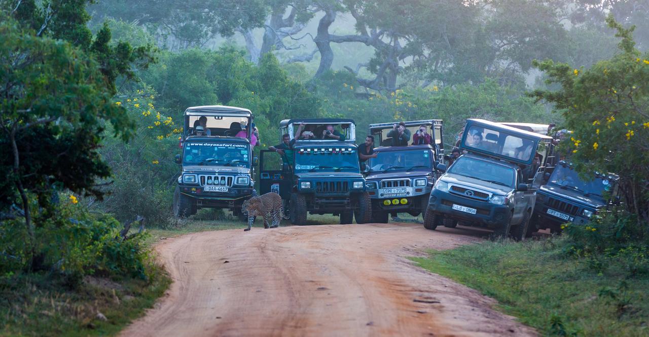Forestville Yala Exteriér fotografie